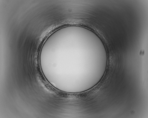 X0000110730682200906121311