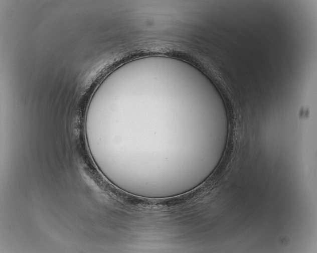 X0000110730683200906121311