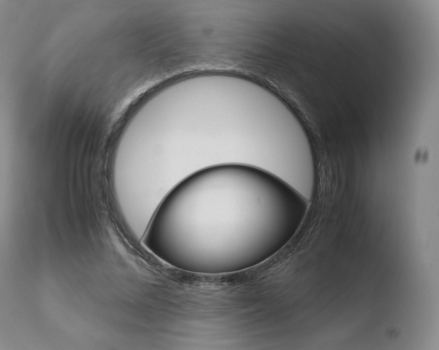 X0000110730684200906121311