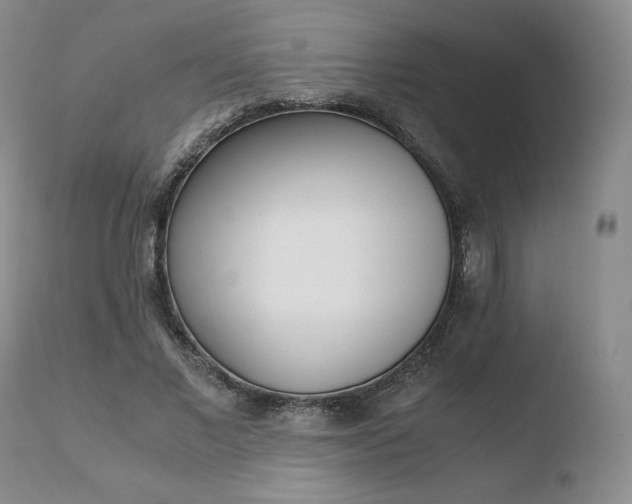 X0000110730685200906121311