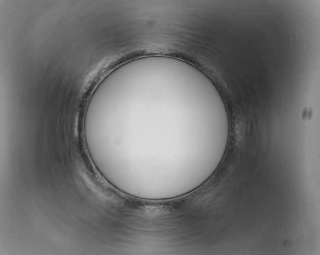X0000110730686200906121311