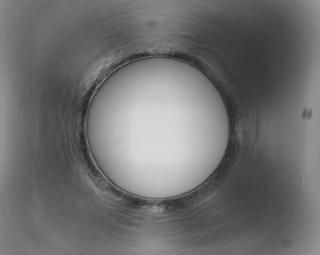 X0000110730687200906121311