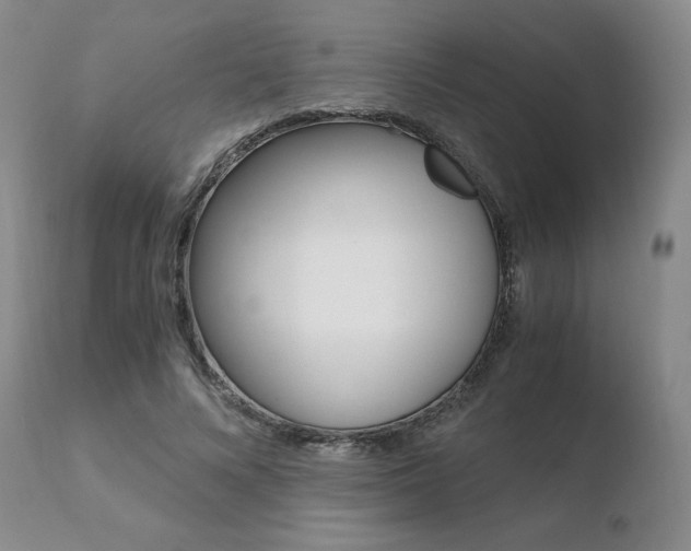 X0000110730688200906121311