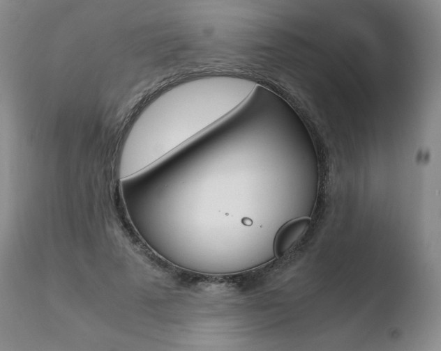 X0000110730689200906121311