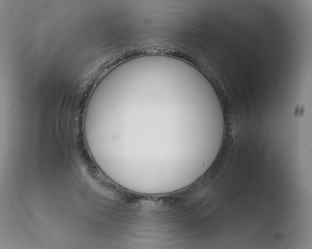 X0000110730690200906121311