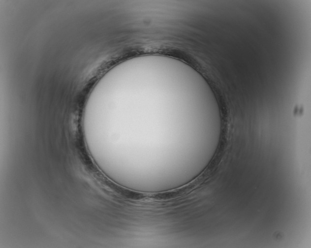 X0000110730691200906121311