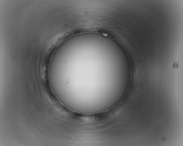 X0000110730693200906121311