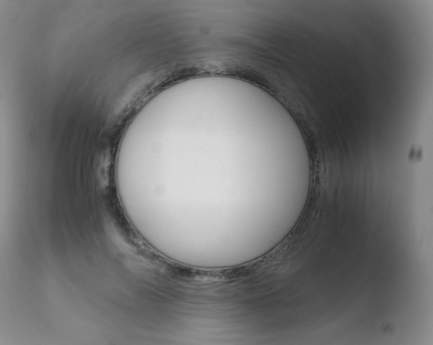 X0000110730694200906121311