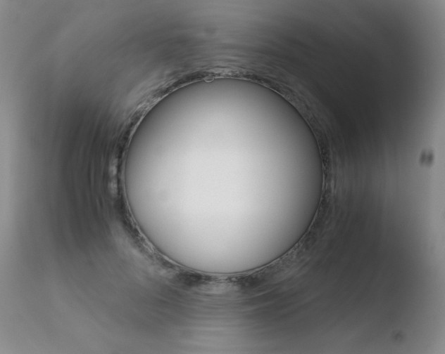 X0000110730696200906121311