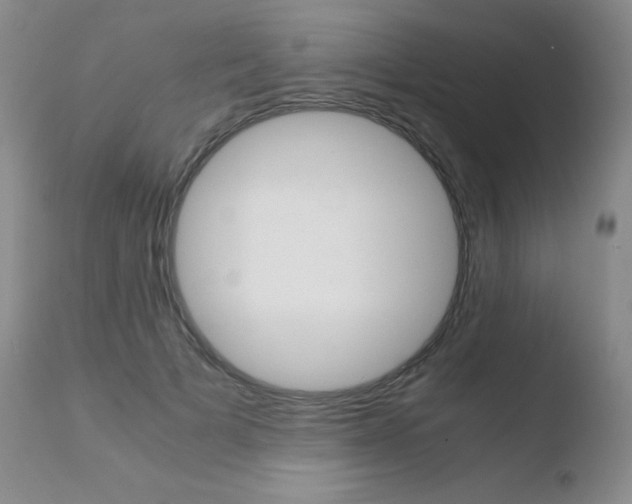 X0000110730697200906121311