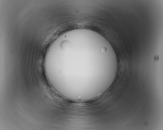 X0000110730698200906121311