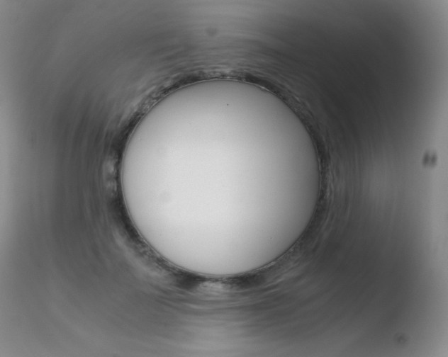 X0000110730699200906121311