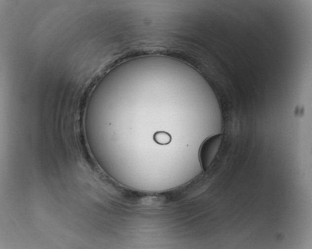 X0000110730700200906121311