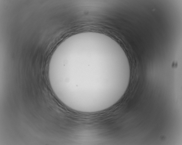 X0000110730701200906121311