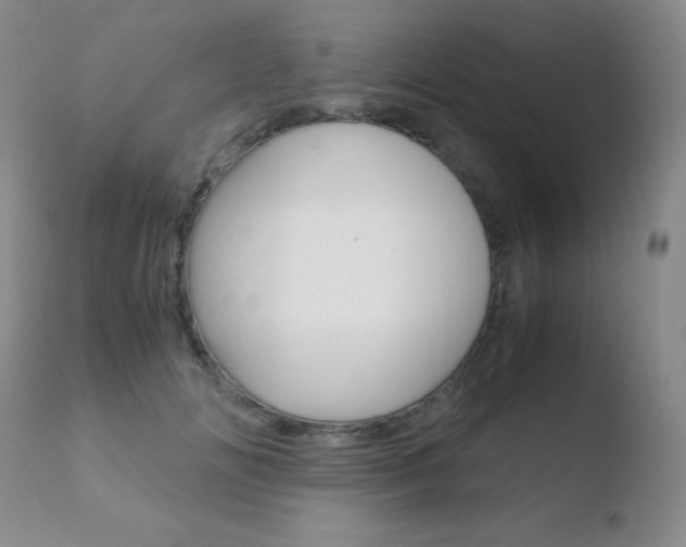 X0000110730702200906121311