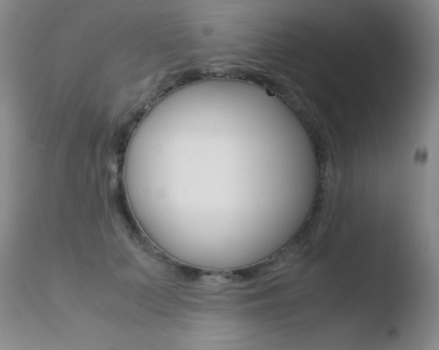 X0000110730703200906121311