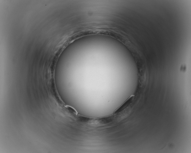 X0000110730704200906121311