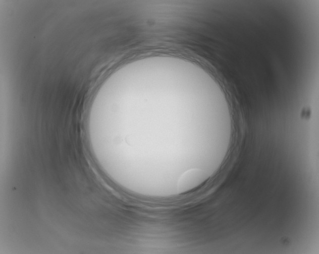 X0000110730705200906121311