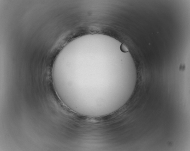 X0000110730706200906121311