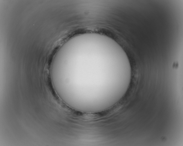 X0000110730707200906121311
