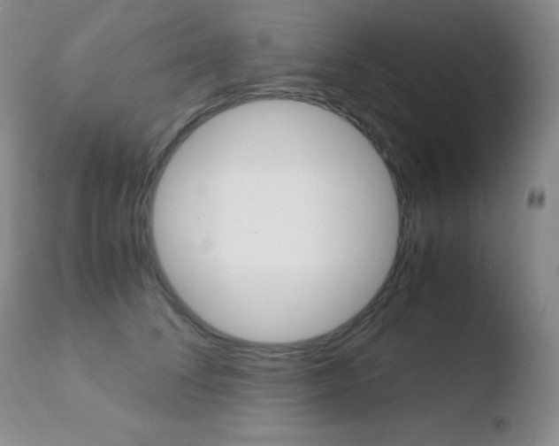 X0000110730708200906121311