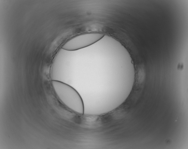 X0000110730709200906121311