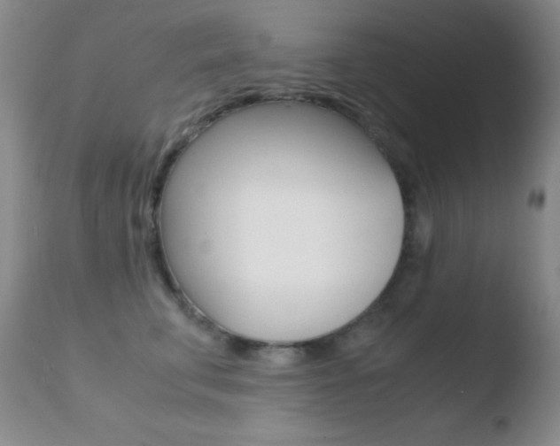 X0000110730711200906121311