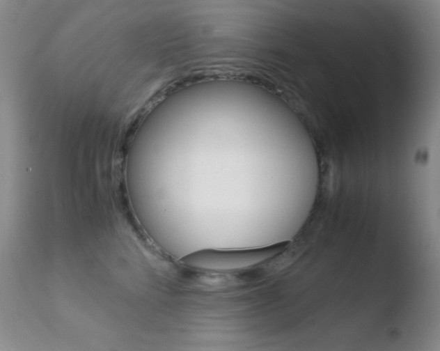 X0000110730712200906121311