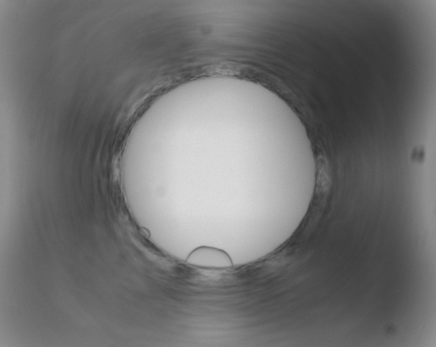 X0000110730713200906121311
