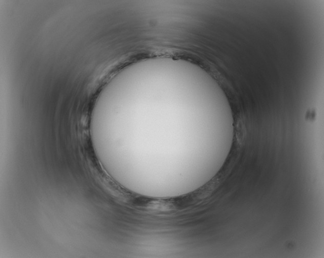 X0000110730714200906121311