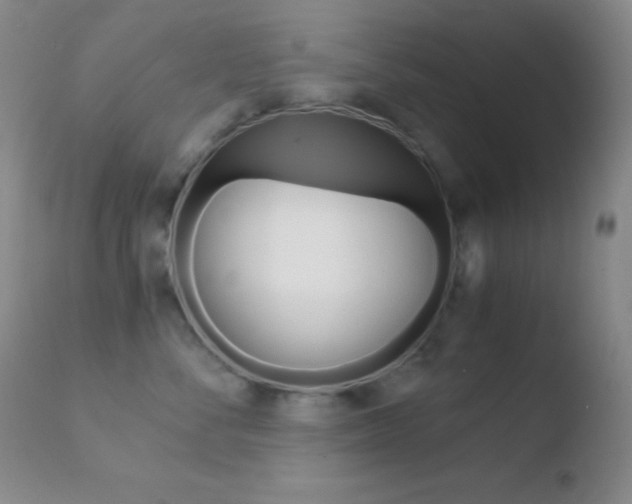 X0000110730716200906121310