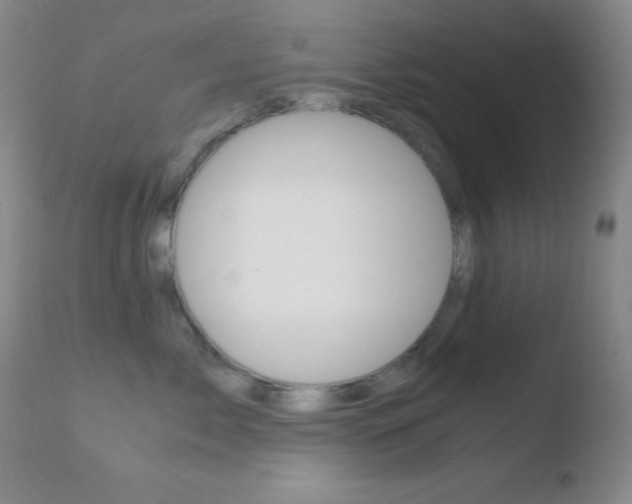 X0000110730717200906121310