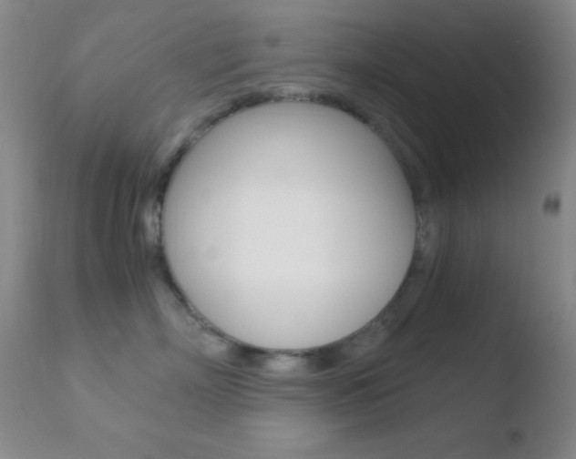 X0000110730718200906121310
