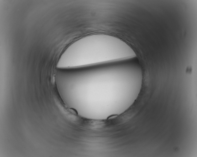 X0000110730719200906121310