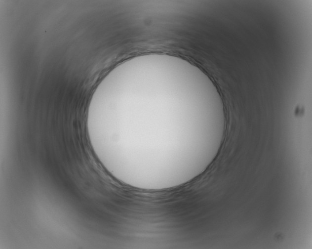 X0000110730720200906121310