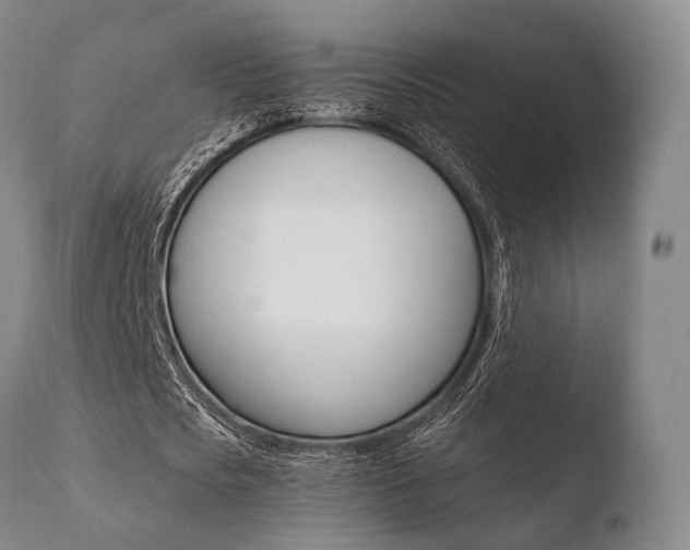 X0000110730721200906121310