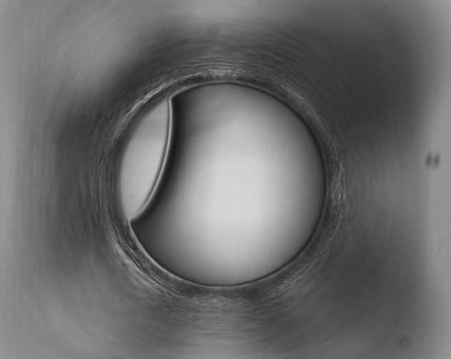 X0000110730722200906121310