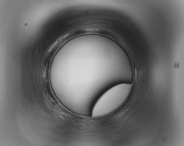 X0000110730723200906121310