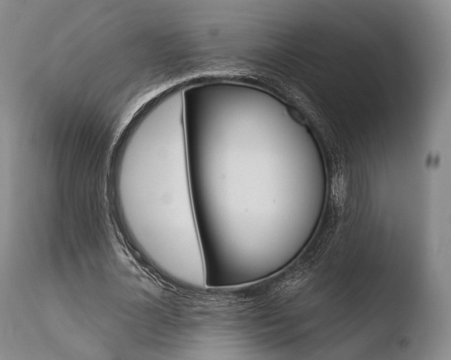 X0000110730724200906121310