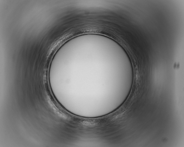 X0000110730725200906121310