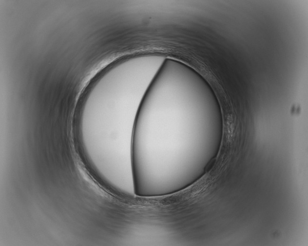 X0000110730726200906121310