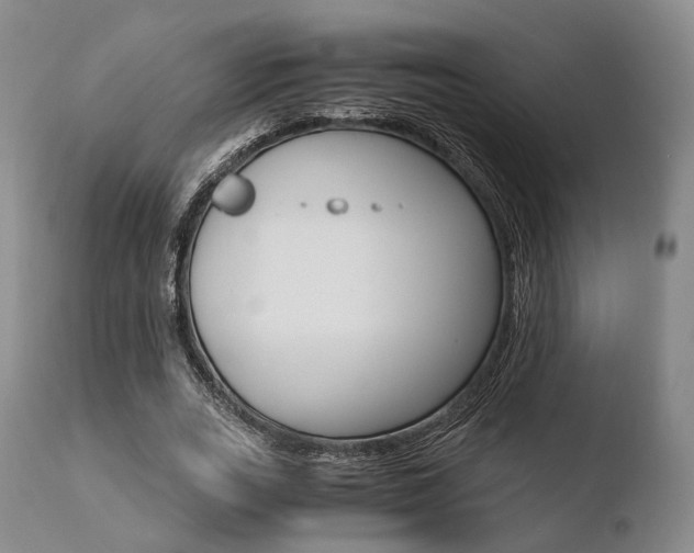 X0000110730727200906121310