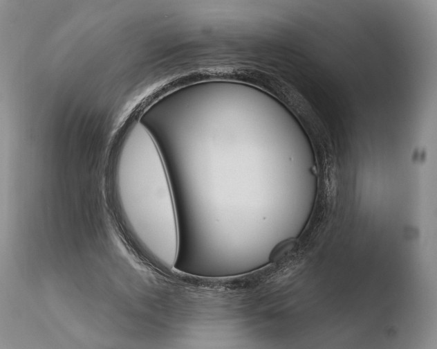 X0000110730728200906121310