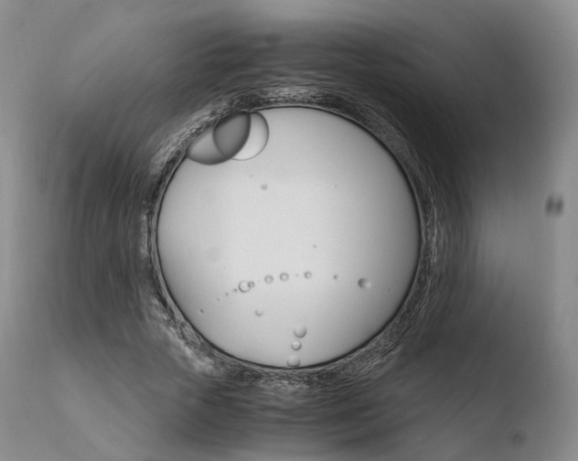 X0000110730729200906121310