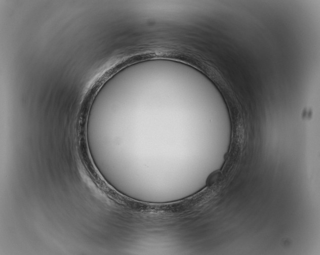 X0000110730730200906121310