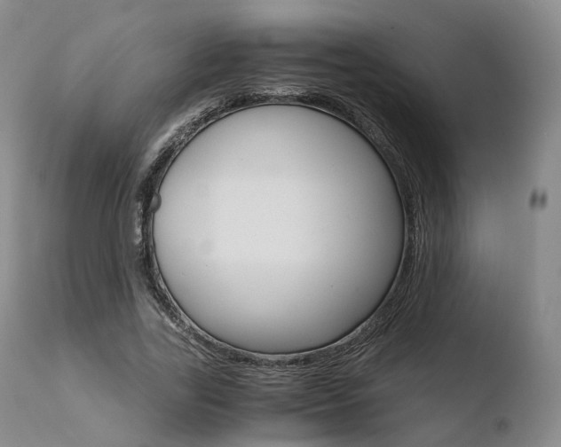 X0000110730731200906121310