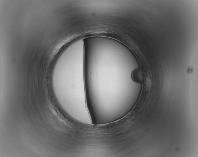 X0000110730732200906121310