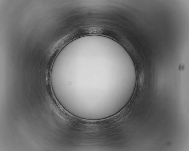 X0000110730733200906121310