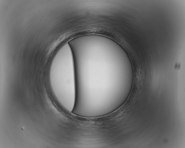 X0000110730734200906121310