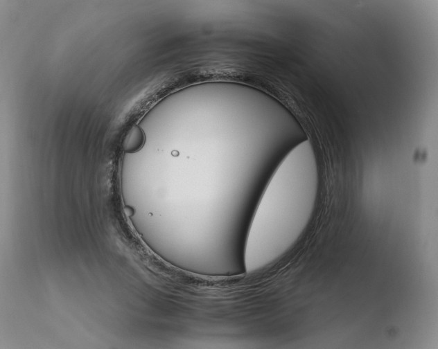 X0000110730735200906121310